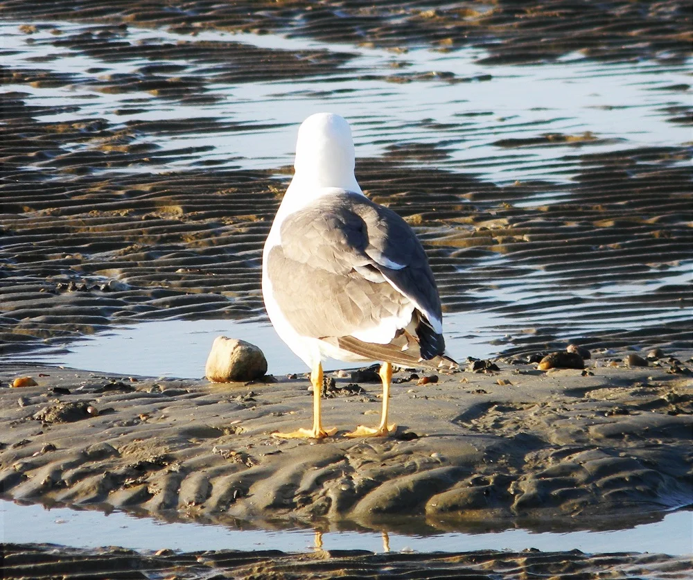 DSCN5377.JPG