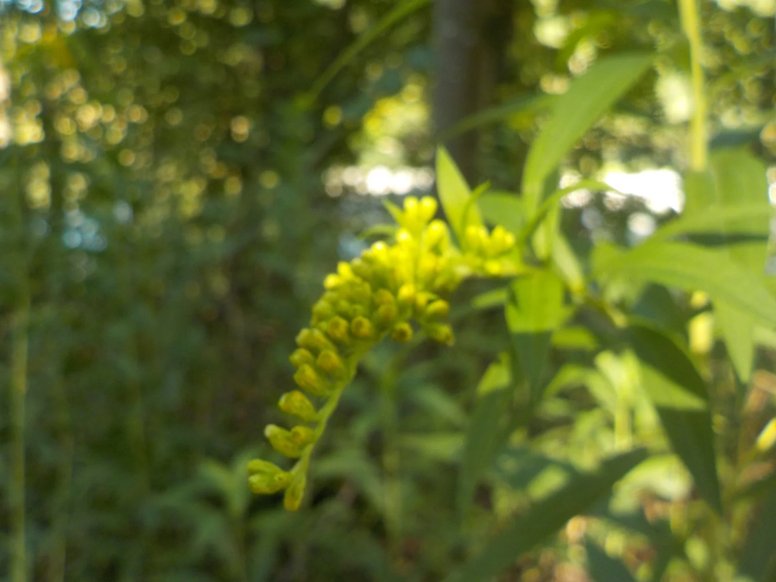 DSCN5406.JPG