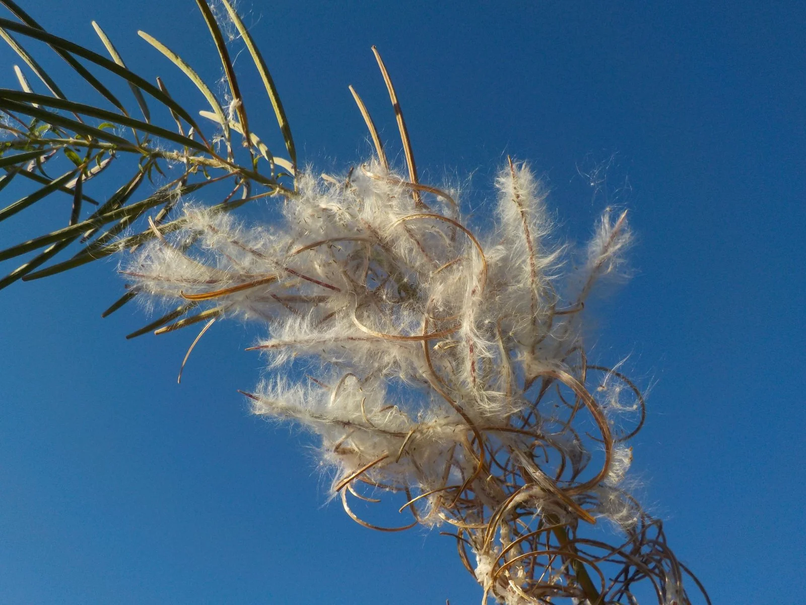 DSCN5416.JPG