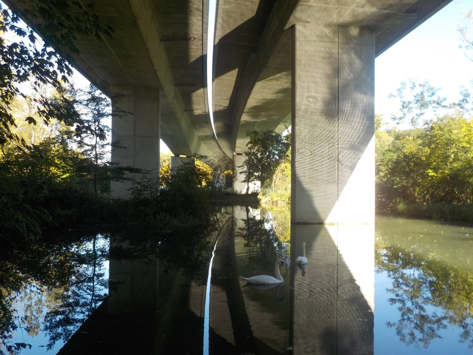 DSCN5456.JPG
