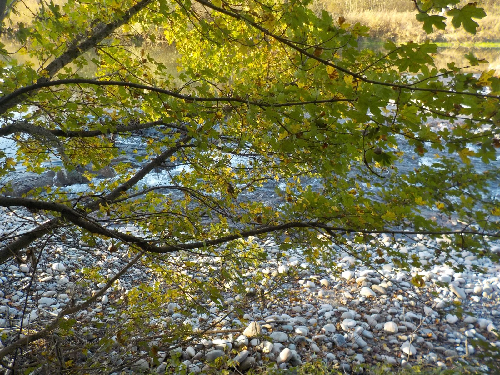 DSCN5498.JPG