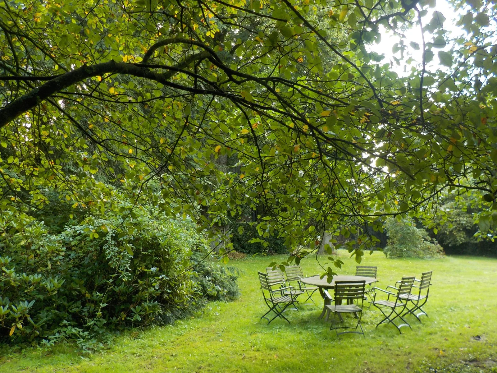 DSCN5910.JPG