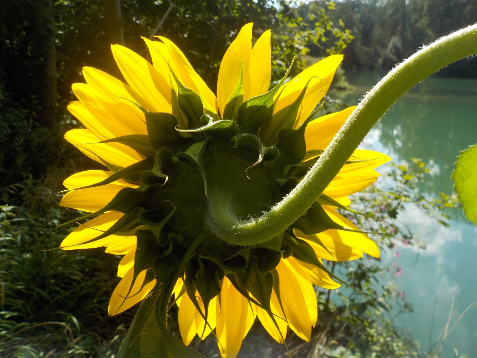 DSCN5988.JPG