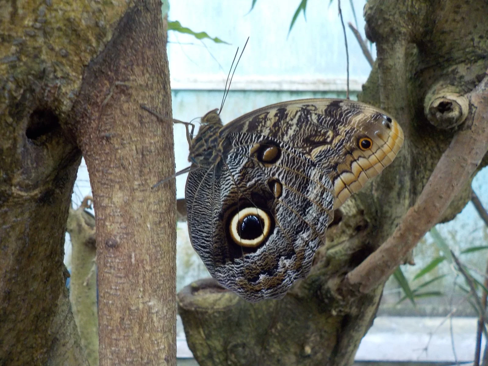 DSCN6186.JPG