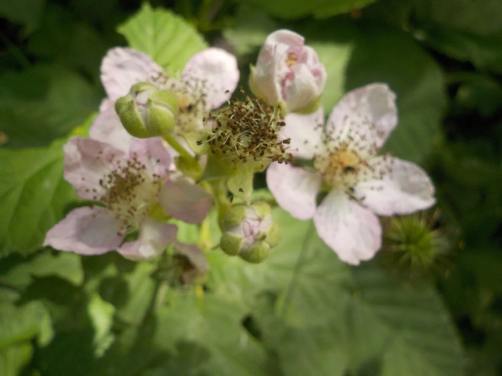 DSCN6302.JPG