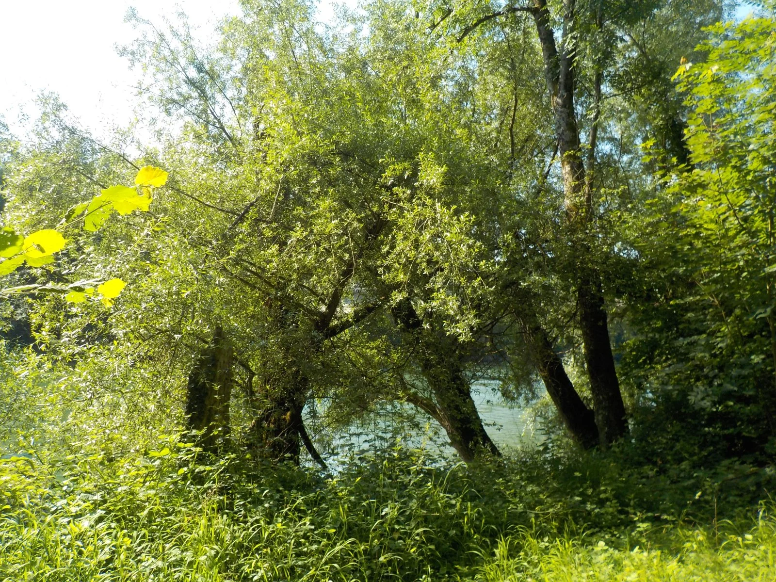 DSCN6321.JPG