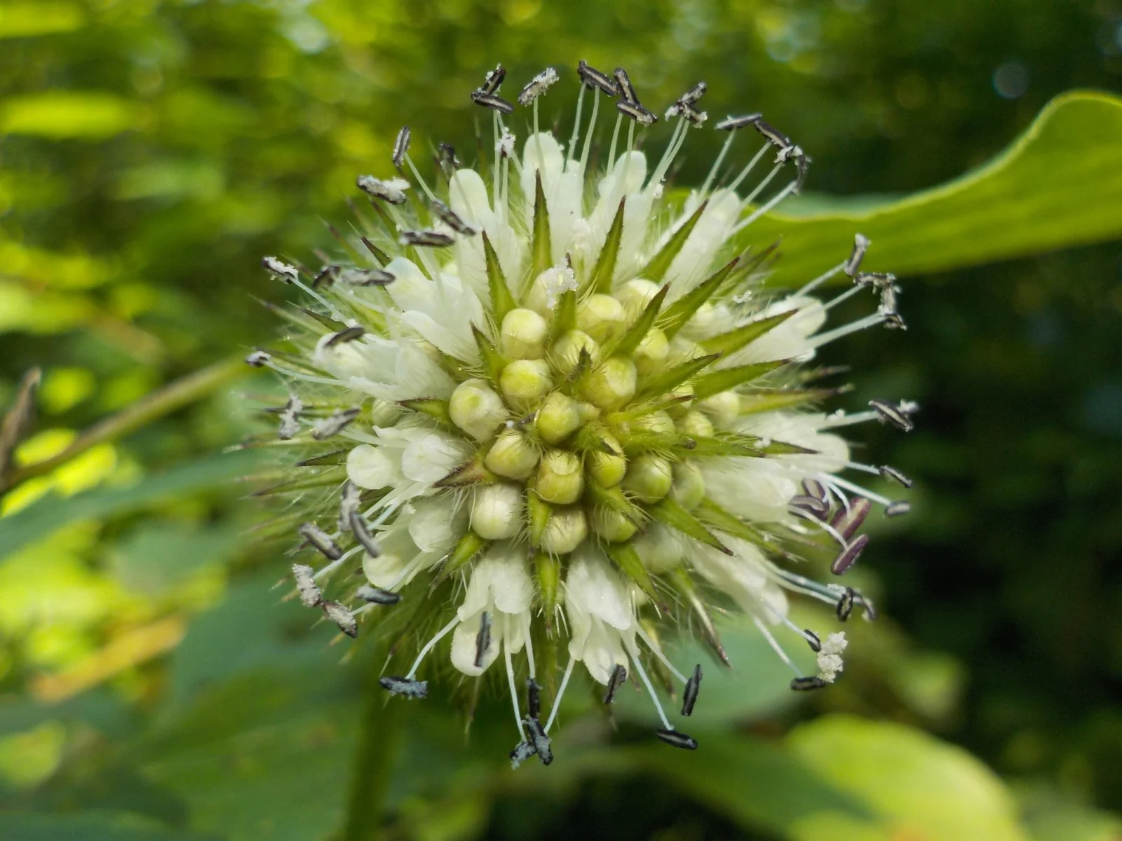 DSCN6324.JPG