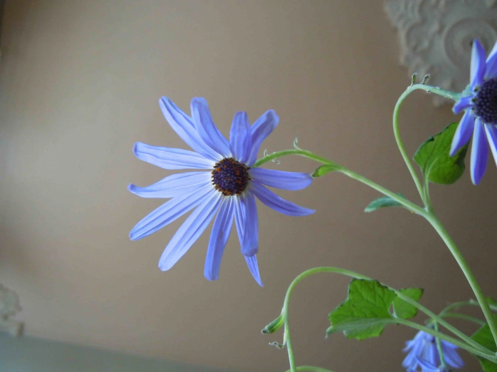 DSCN6355.jpg