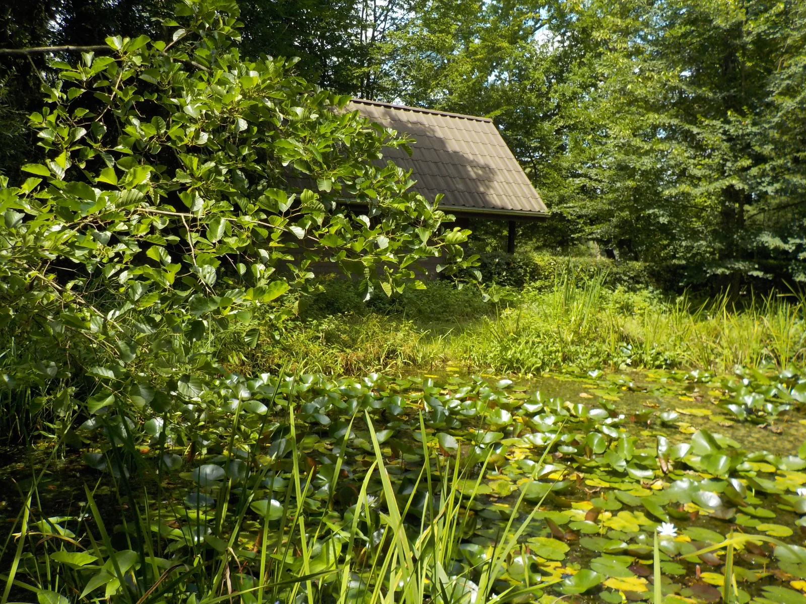 DSCN6359.webp
