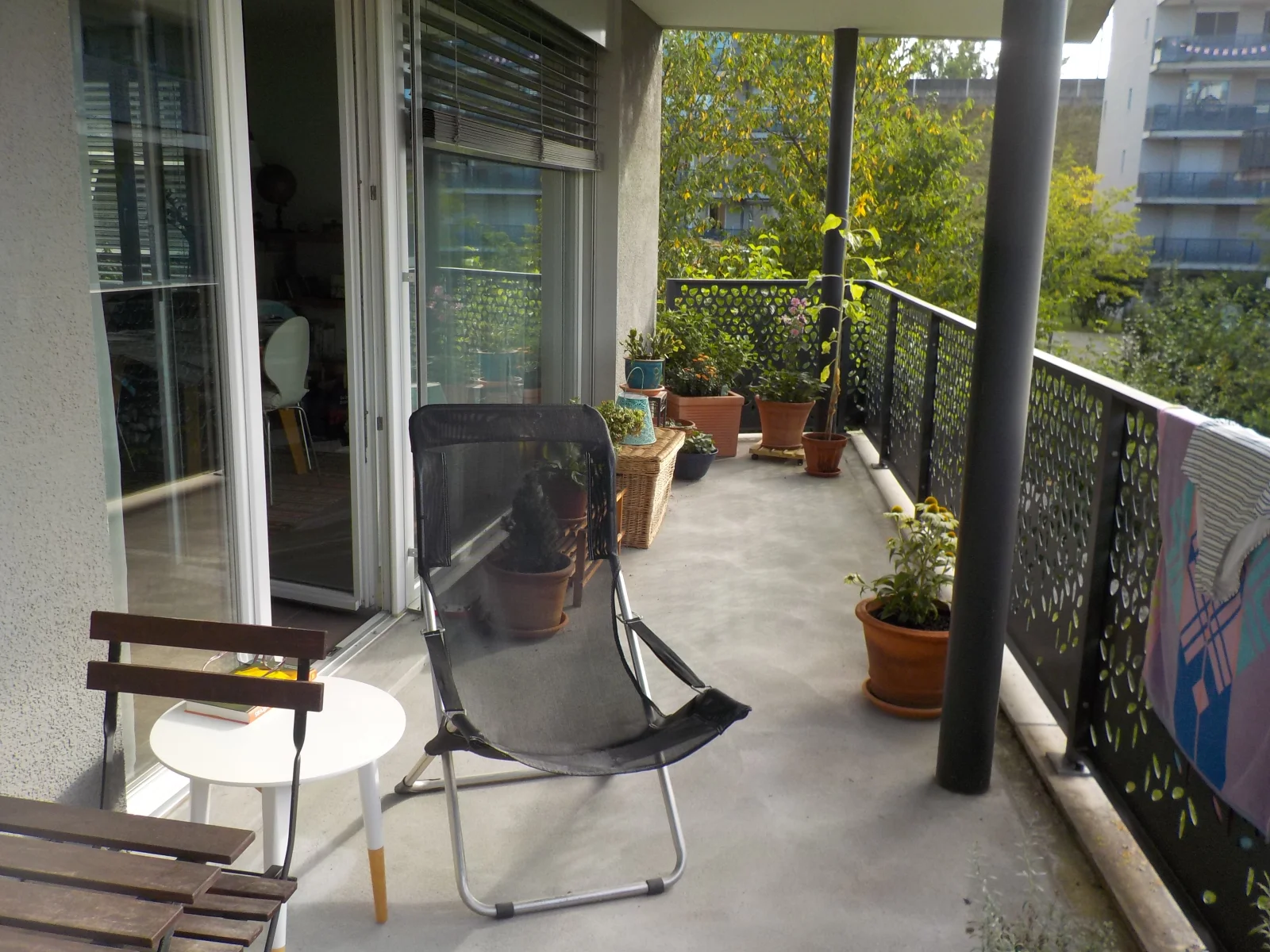DSCN6376.webp