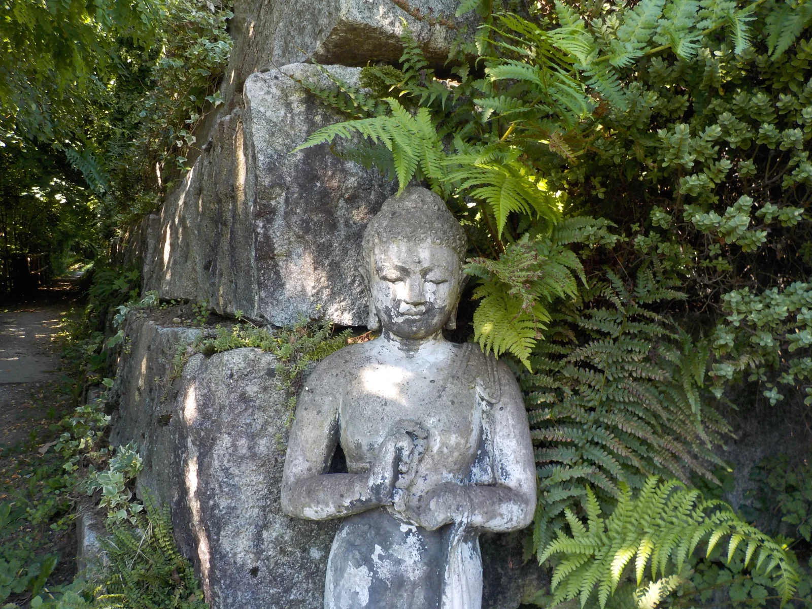 DSCN6383.webp