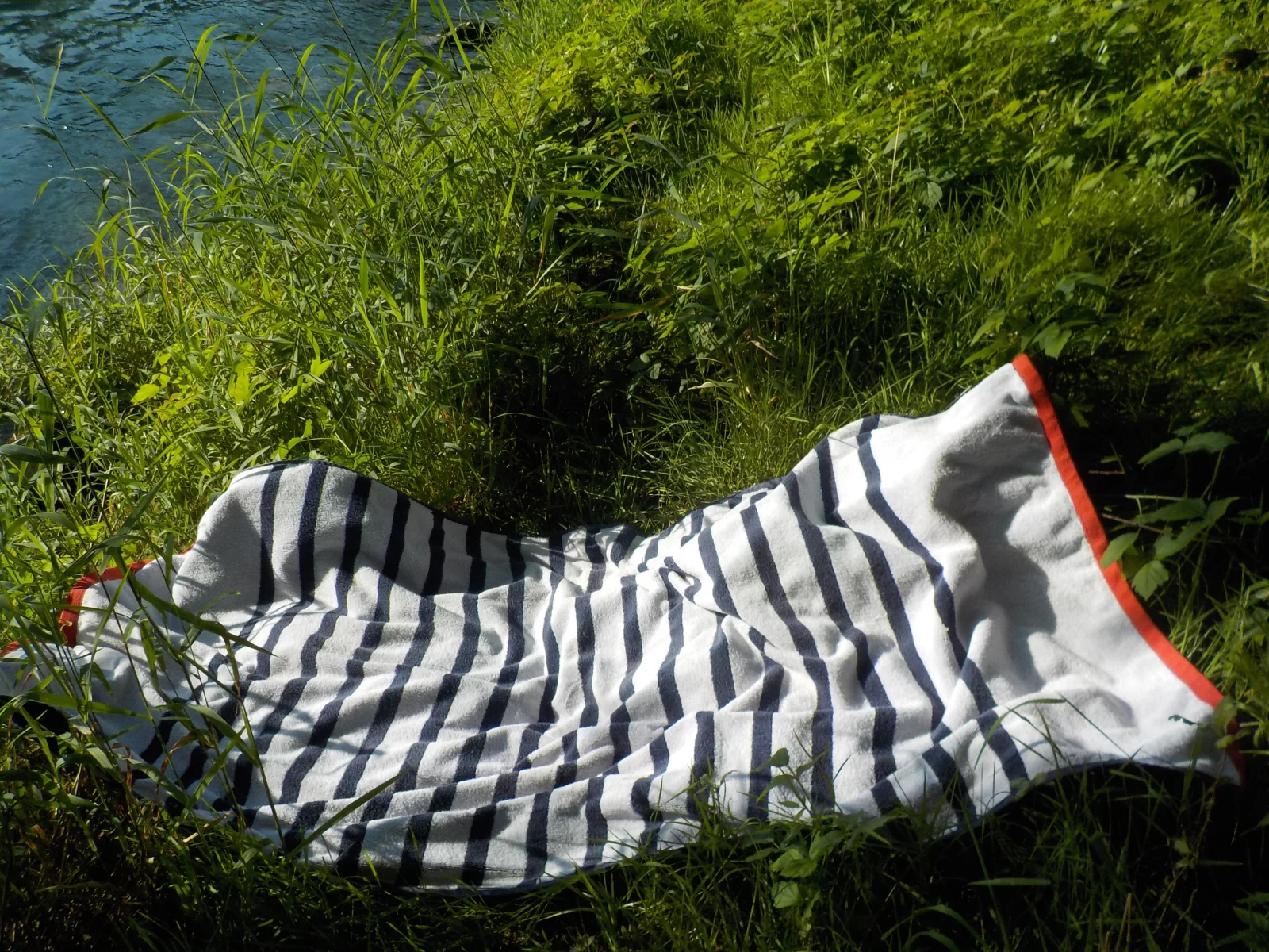 DSCN6439.webp