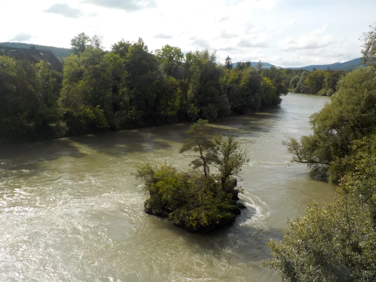 DSCN6518.webp