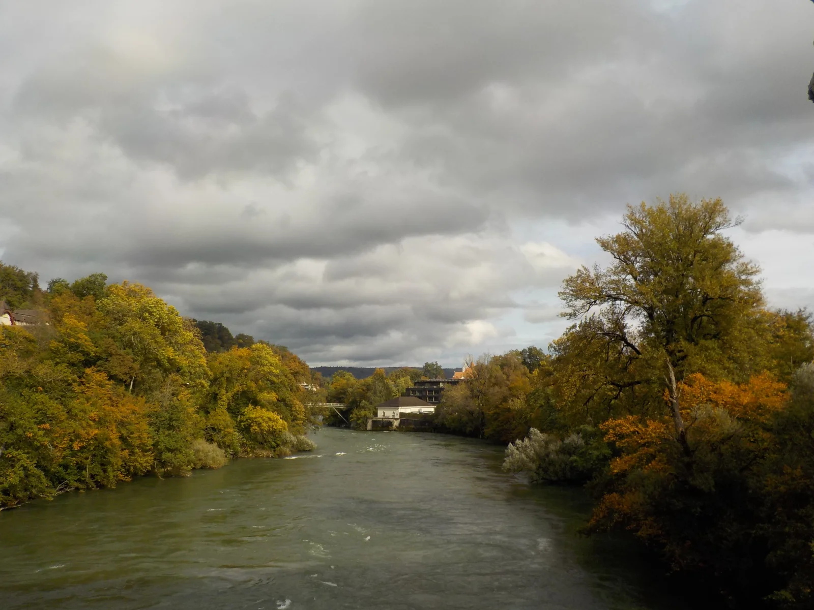 DSCN6547.webp