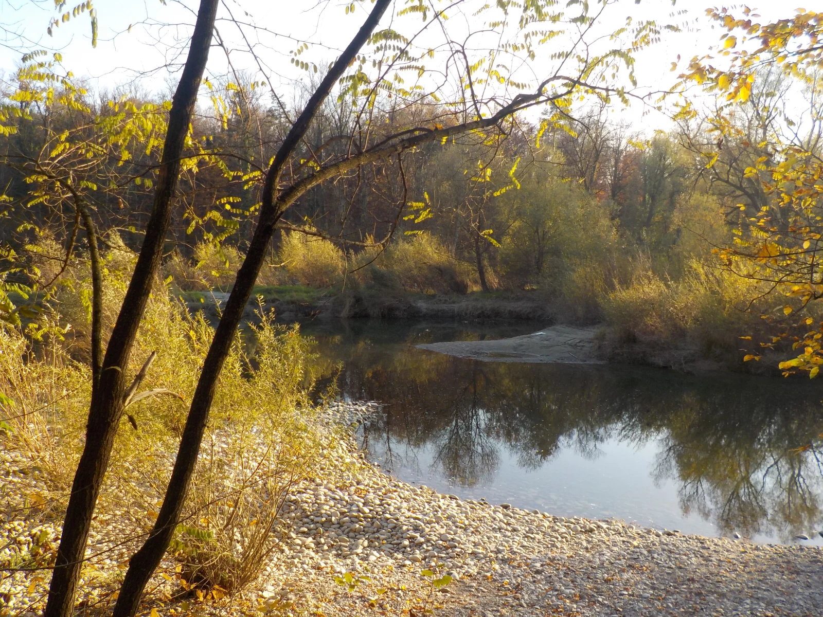 DSCN6635.webp