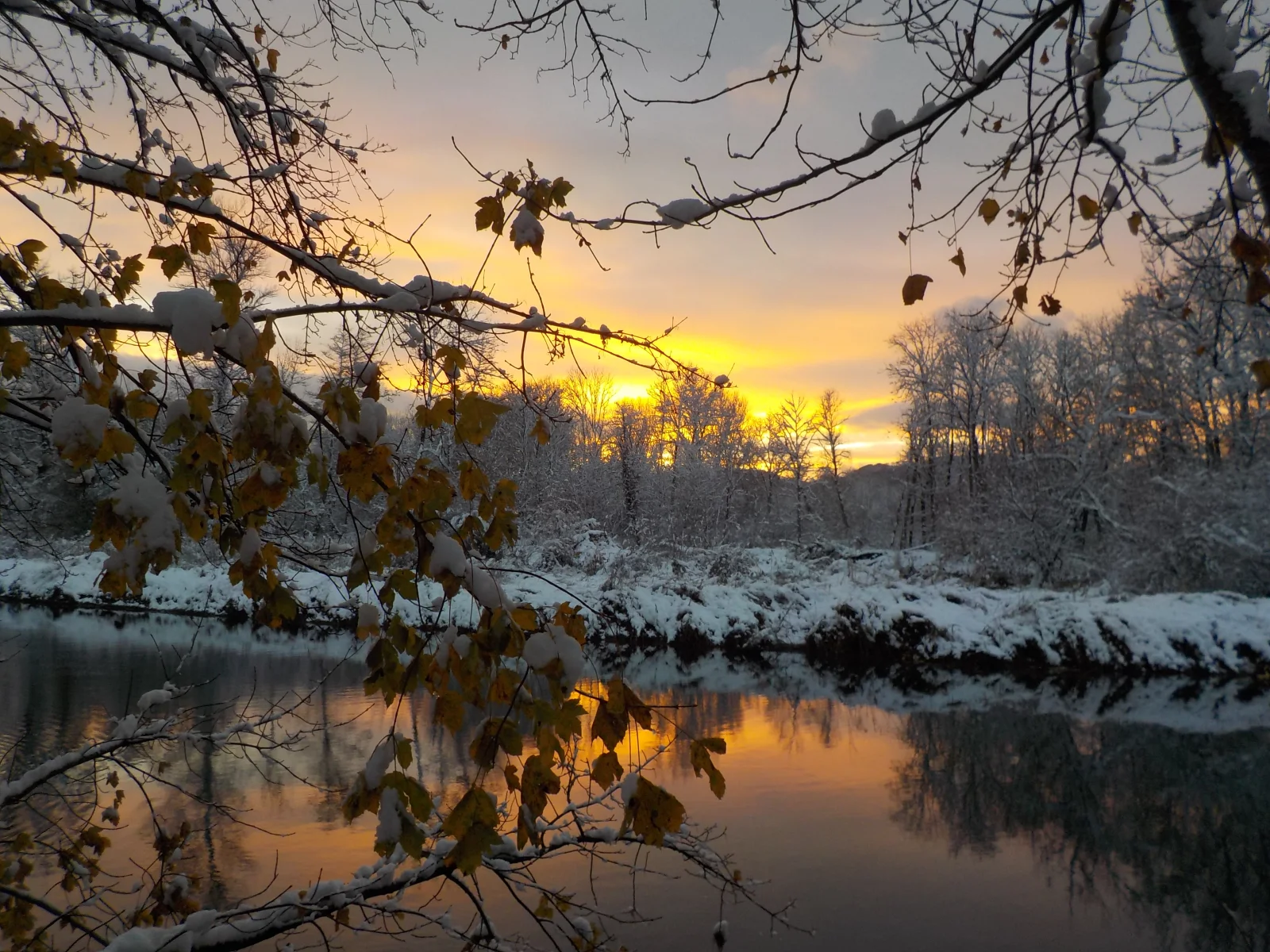 DSCN6700.webp