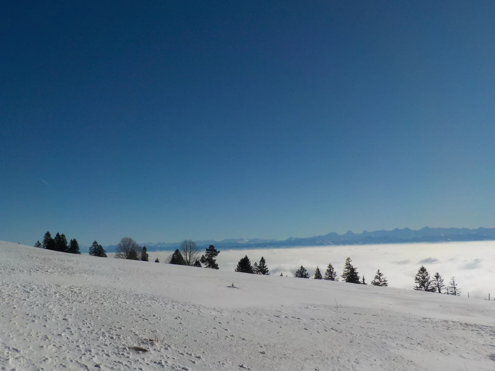 DSCN6743.webp