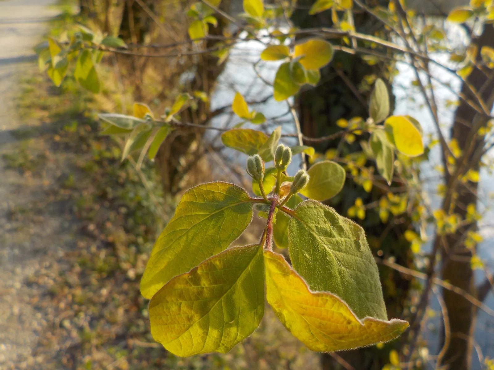DSCN6968.webp