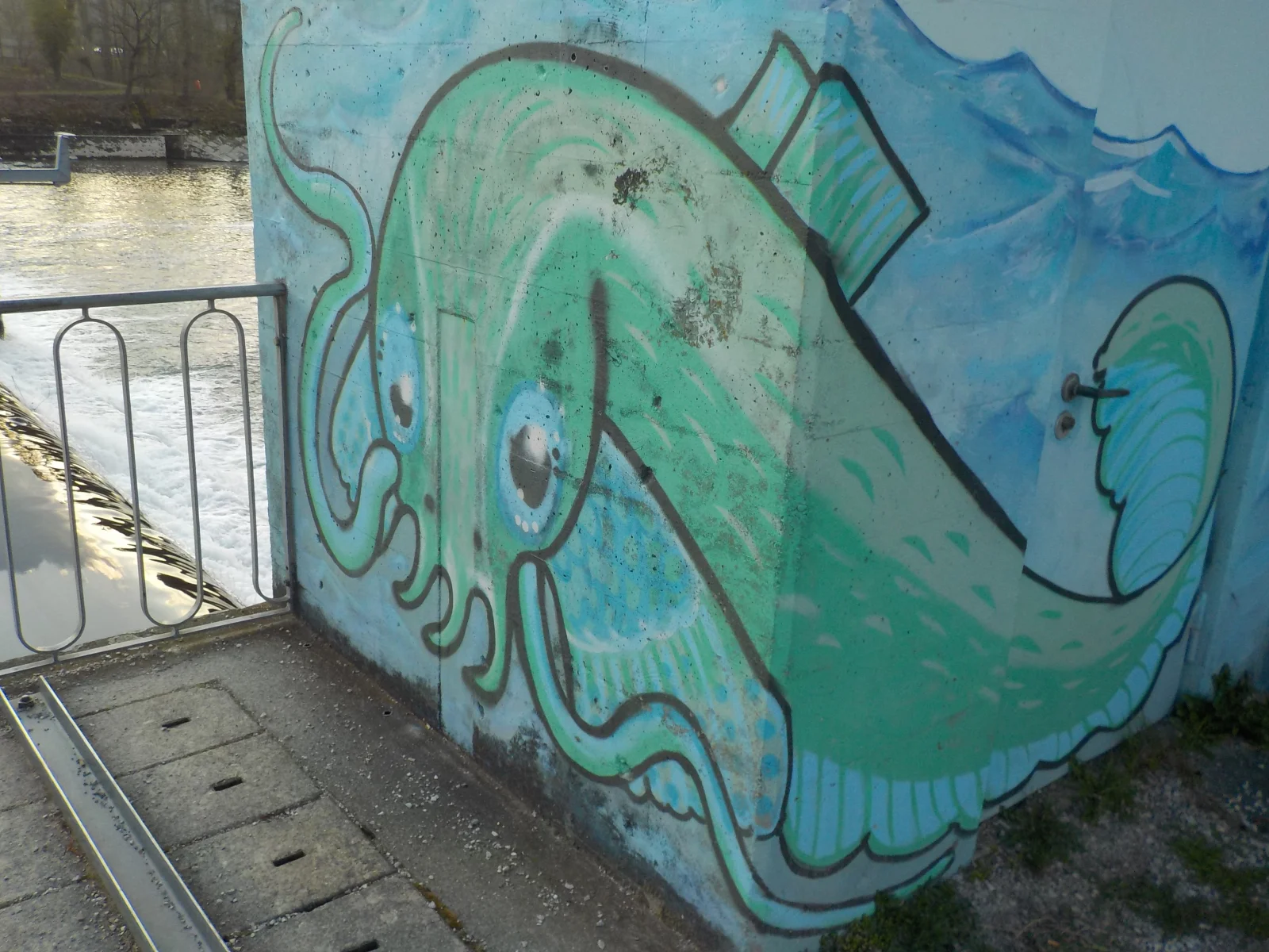 DSCN6980.webp