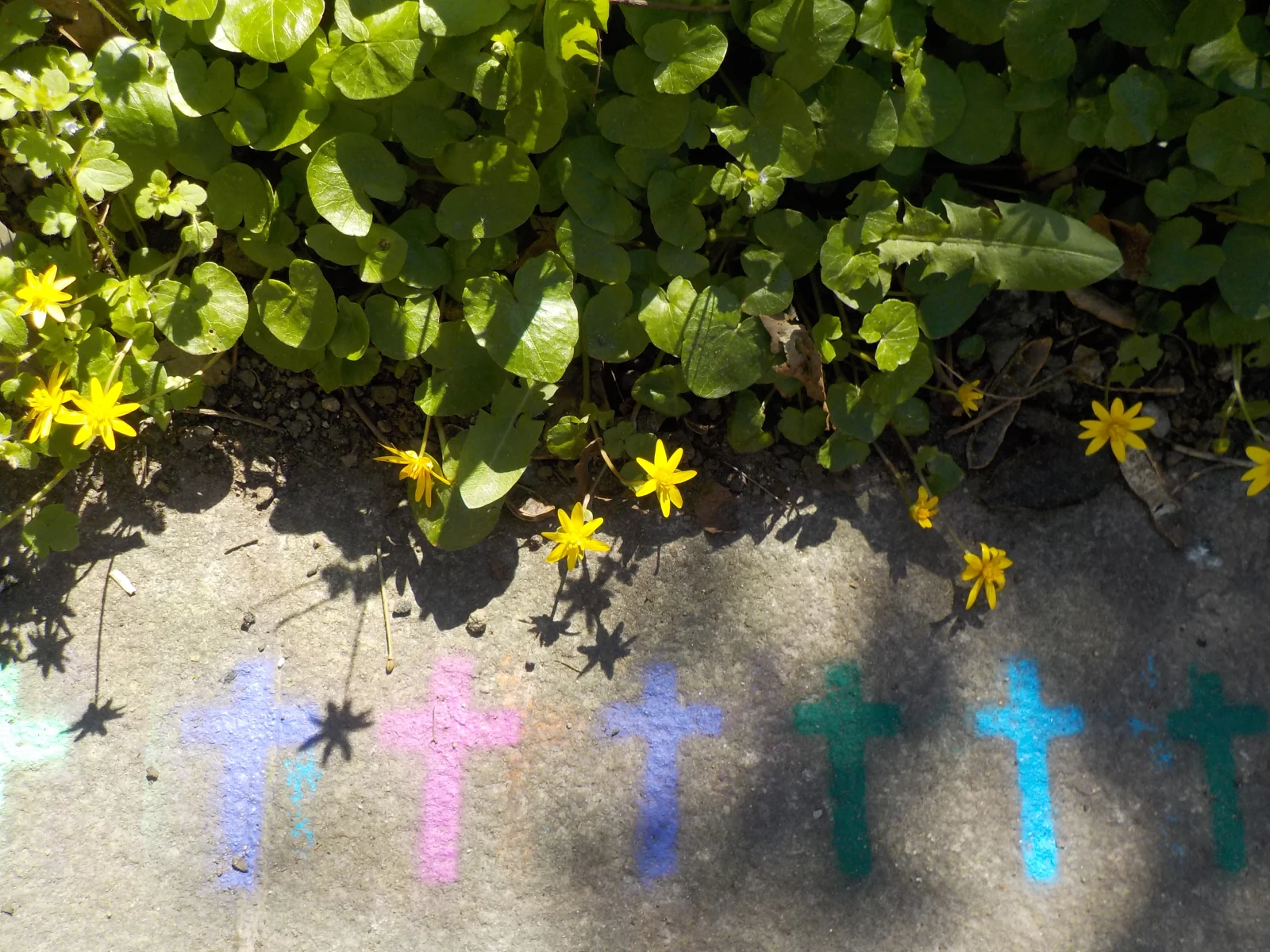 DSCN7059.webp