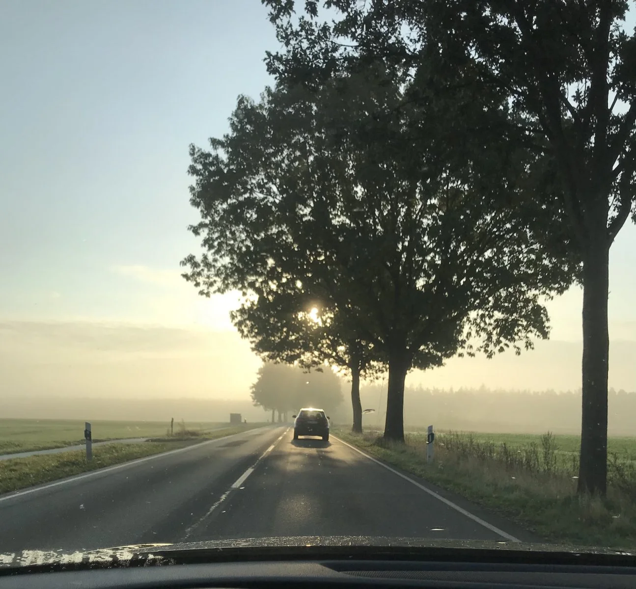 E65F062D-F26F-4542-9D8C-FAF6AD7DF4EA.jpeg