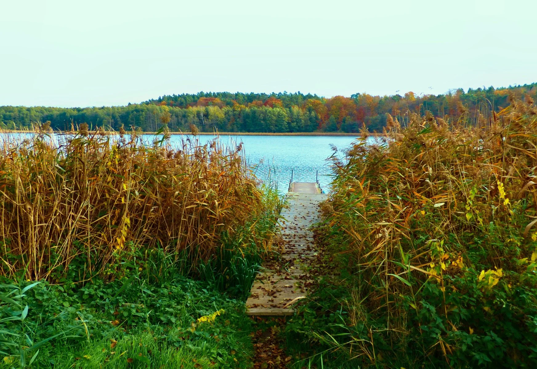 Ein Tag am See.jpg