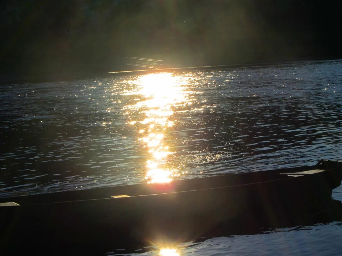elbe mit boot.jpg