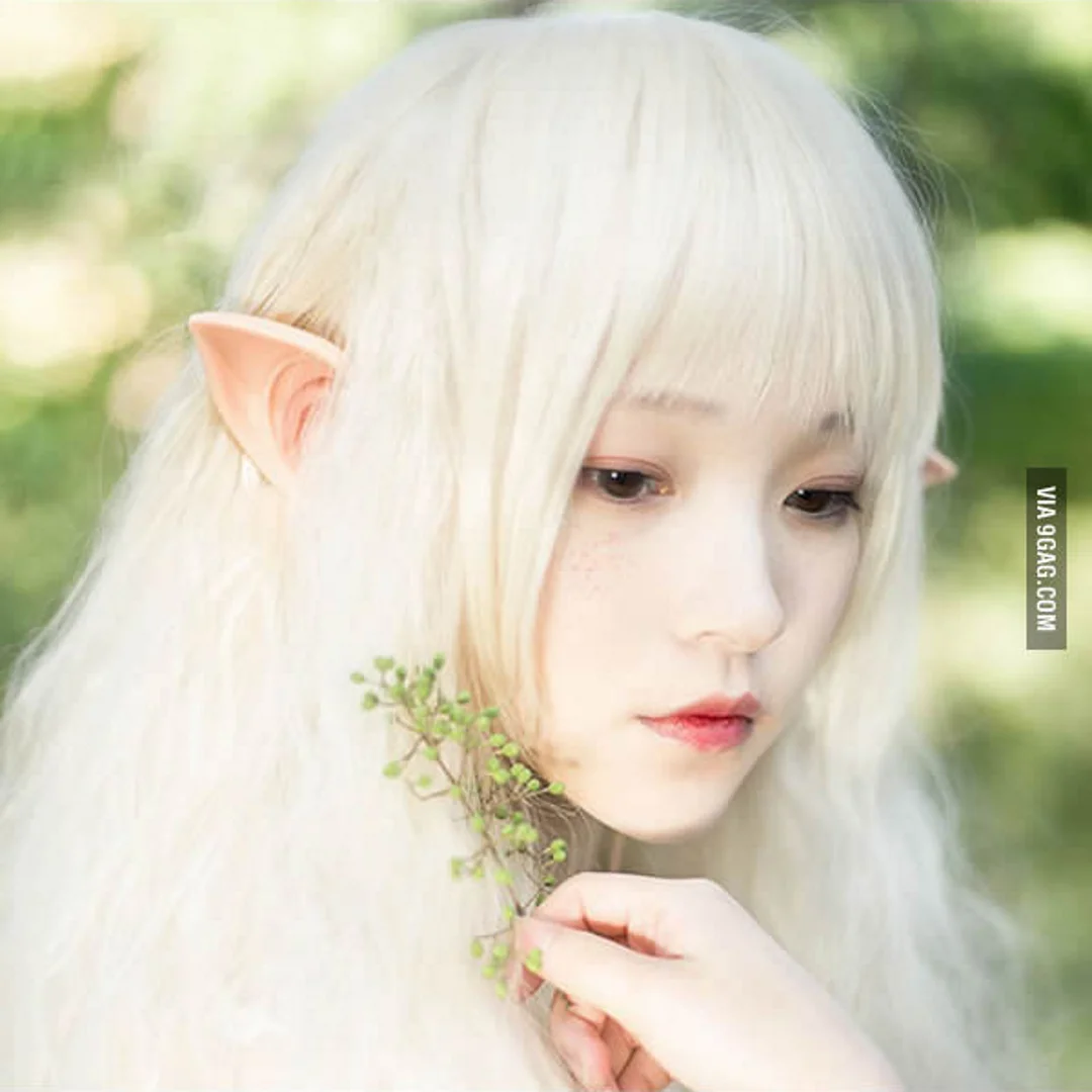 elf.png