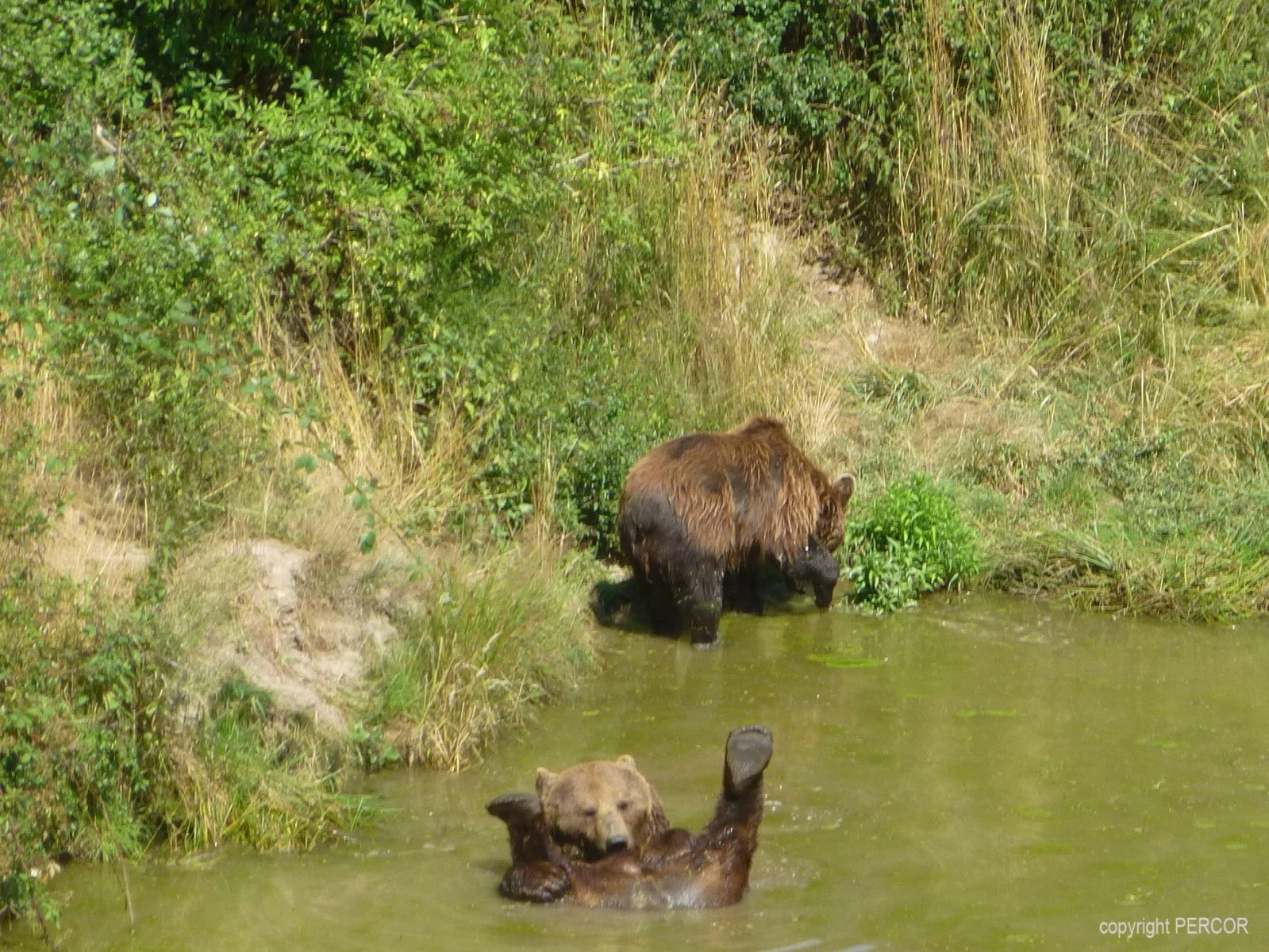 Entspannung Kopie.jpg