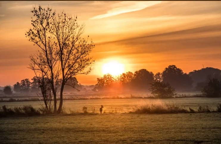 F05F6A17-6E5D-42F0-BA53-1CA3A4A2C47F.jpeg