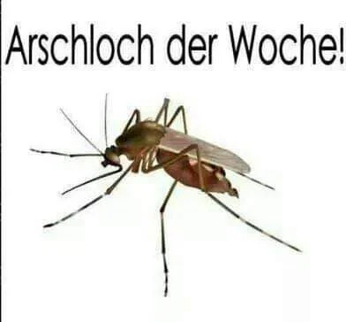 FB_IMG_1560322232309.jpg