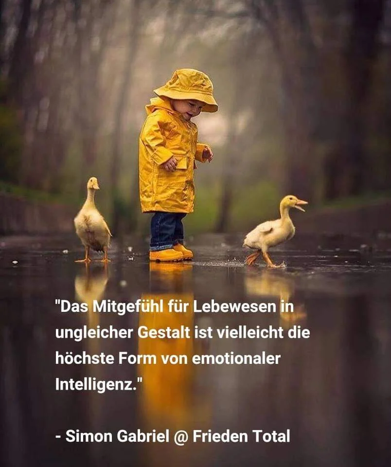 FB_IMG_1564553608649.jpg