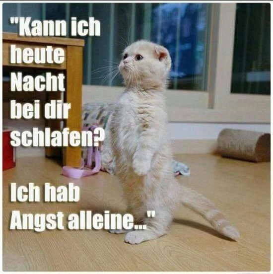 FB_IMG_1567195052300.jpg