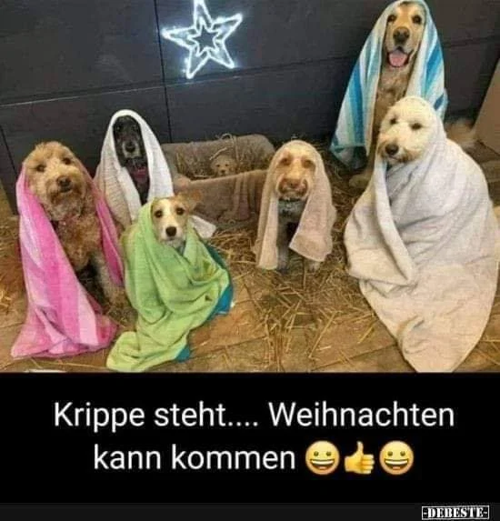 FB_IMG_1568220188571.jpg