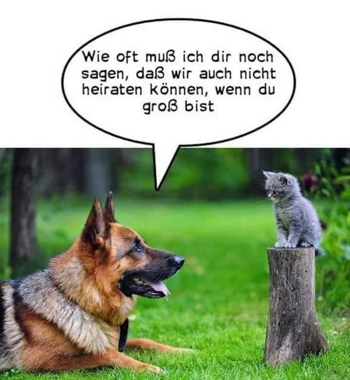 FB_IMG_1569659028996.jpg