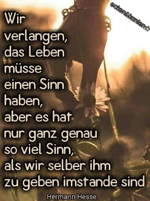 FB_IMG_1569747087973.jpg