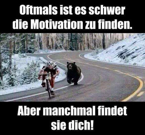 FB_IMG_1572590223982.jpg