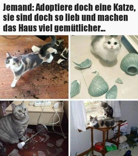 FB_IMG_1572618374849.jpg