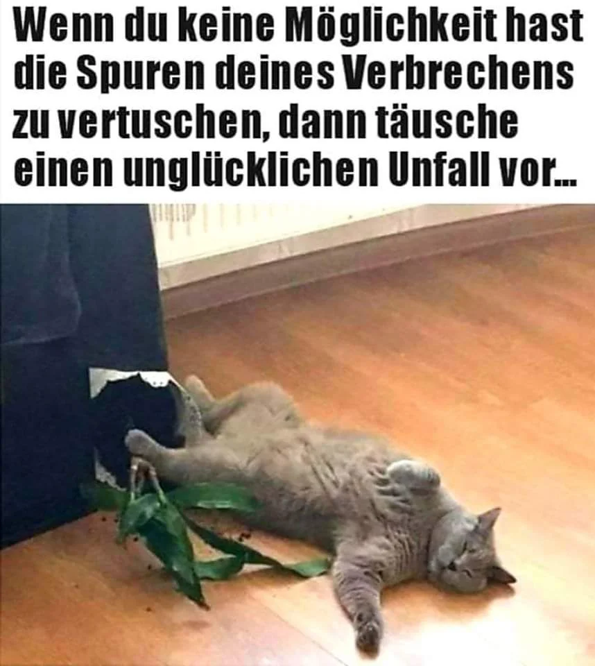 FB_IMG_1576736864843.jpg