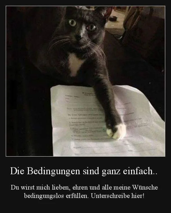 FB_IMG_1577135683935.jpg