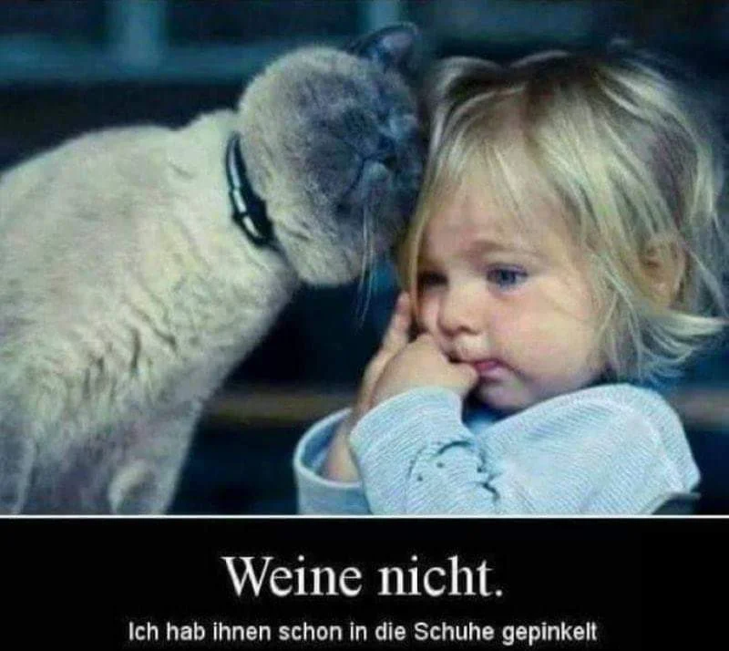 FB_IMG_1578430682722.jpg