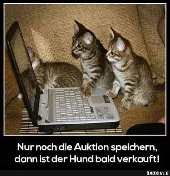 FB_IMG_1580224642064.jpg