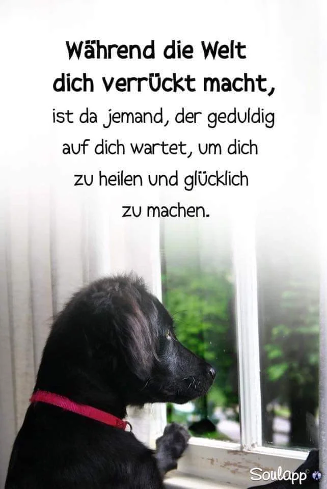 FB_IMG_1581014226500.jpg