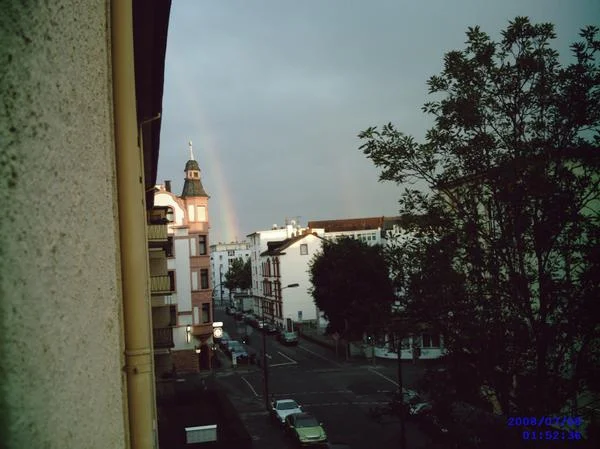 fensterblick