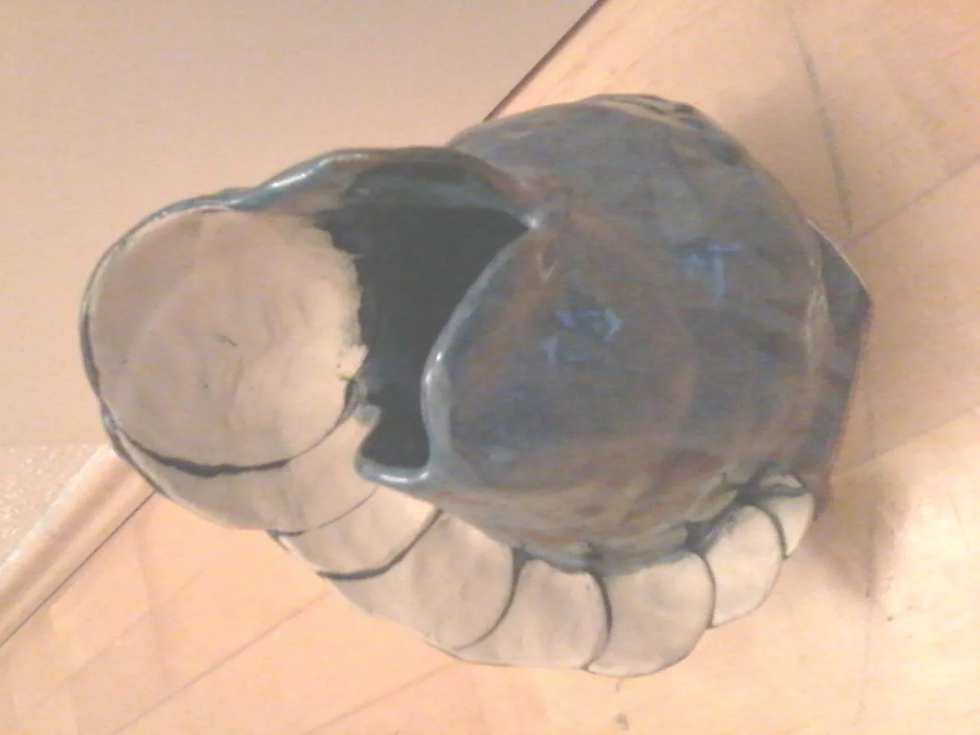 Foto0008.jpg