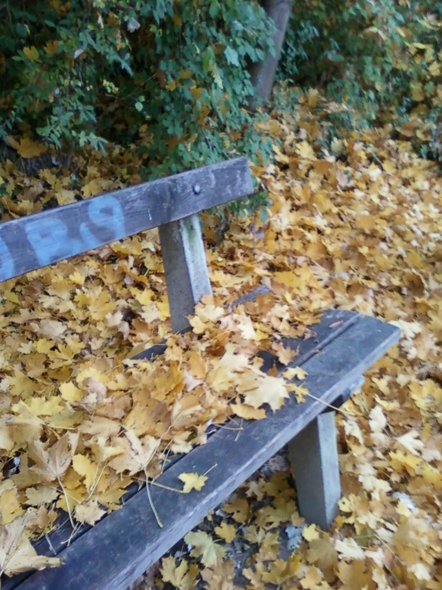 Foto0079.jpg