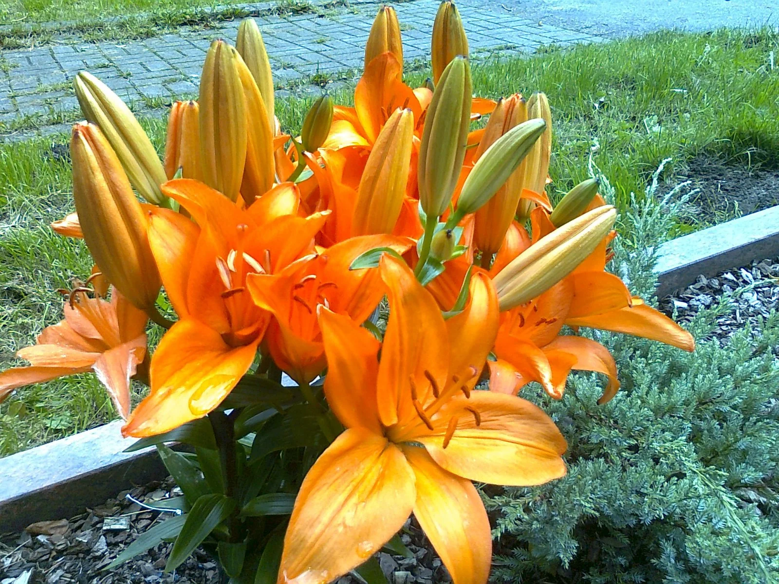 Foto0515