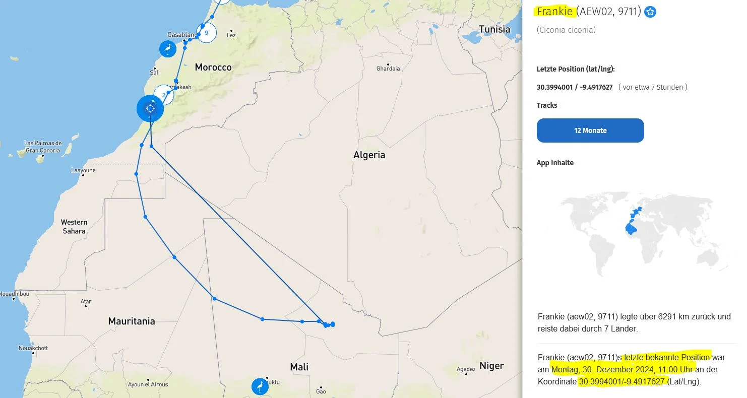 Frankie_30Dez2024_bei-Agadir-in-Marokko.webp