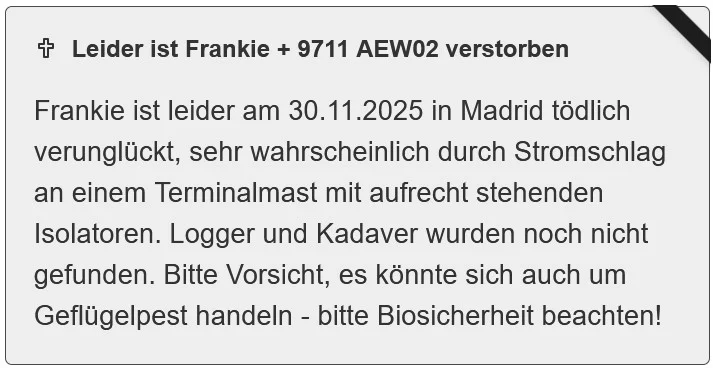 Frankie_30Nov2025_tödlich-verunglückt_Profileintrag_AT.webp