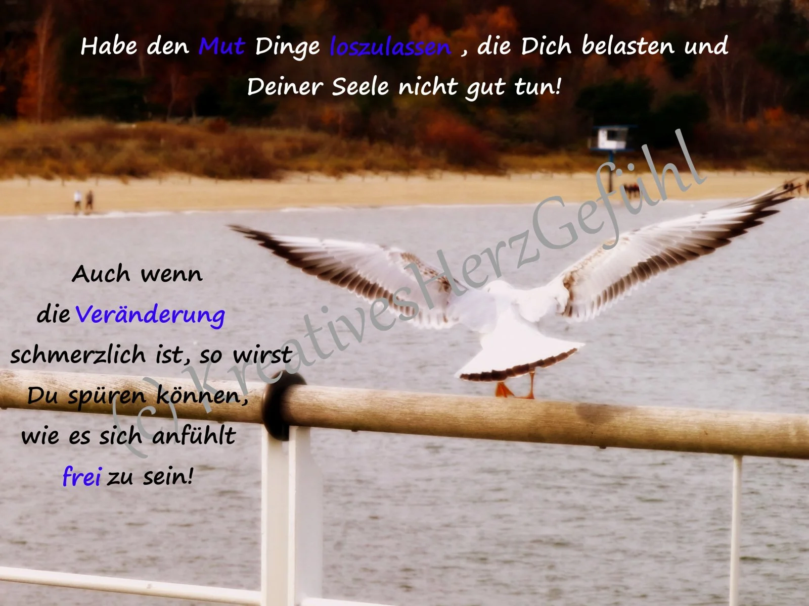 Frei1-W.jpg